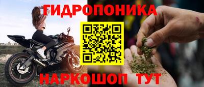 крисы Татарск