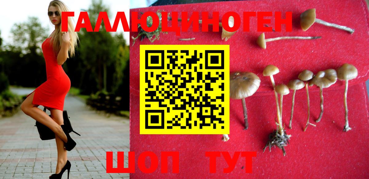 Усть-Илимск  хочу наркоту  Вход с VPN  Галлюциногенные грибы Psilocybine cubensis 